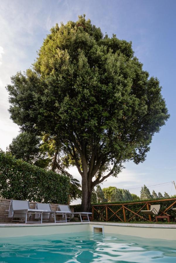 Borgocuore Todi Bagian luar foto